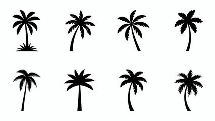 Obraz premium Palm Tree Silhouette Vector Set Tropical Trees Icon Collection