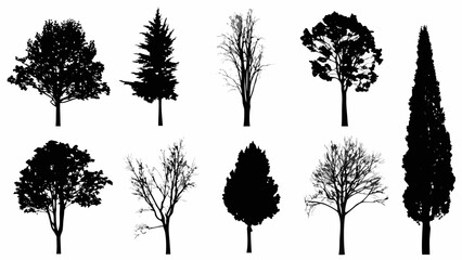 Obraz premium Collection of diverse tree silhouettes against a stark white background