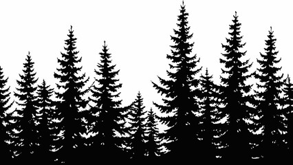 A striking black and white silhouette of a dense coniferous forest against a white background © PRODIP