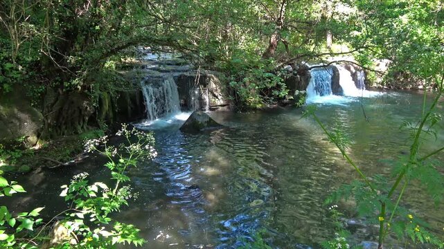 Lush forest river with flowing waterfall and green rocks