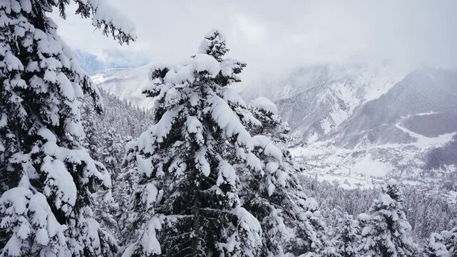 View from ski lift over snowy pine forest during snowfall, winter mountain resort, Caucasus. Skiing atmosphere, cold weather, scenic winter landscape, alpine travel