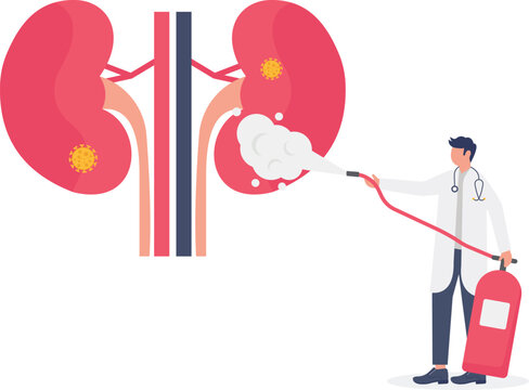 Specialist sanitizing kidney from viral infection and bacteria