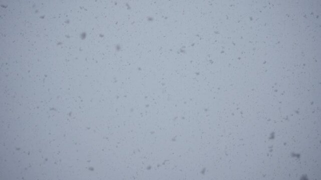 Falling snow in slow motion against soft sky background, calm winter weather, minimal meditative scene. Peaceful snowfall, relaxing natural background