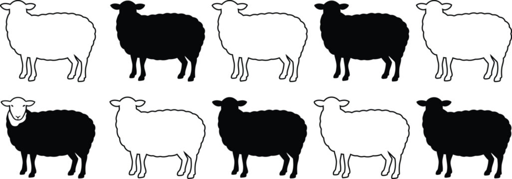 Ten sheep silhouettes, alternating black and white, standing in two rows animal
