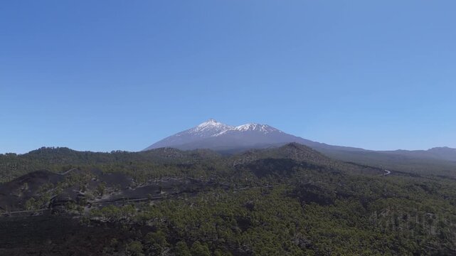 Aerial view from a drone flying over a pine forest in the highlands of western Tenerife with Mount Teide in the background