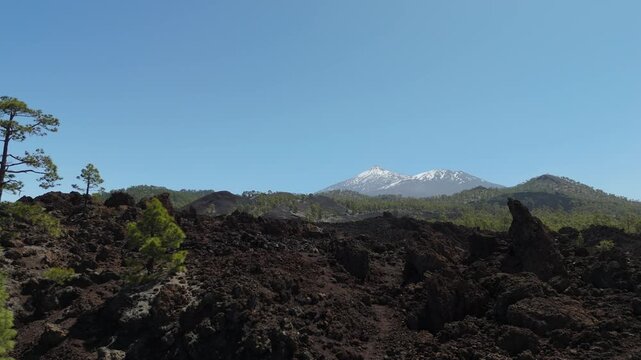 Aerial view from a drone flying over lava fields in the highlands of western Tenerife with Mount Teide in the background. Mirador de los Poleos 