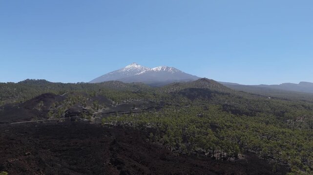 Aerial view from a drone flying over a pine forest in the highlands of western Tenerife with Mount Teide in the background