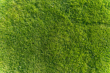 Obraz premium A close-up view of lush green grass creates a vibrant and healthy outdoor scene. Ideal for nature-themed projects, landscaping ideas, or environmental campaigns.