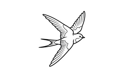 Obraz premium A detailed illustration of a bird in flight on transparent background silhouette