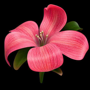 Abstract exotic pink flower illustration. Black background, 3D render.