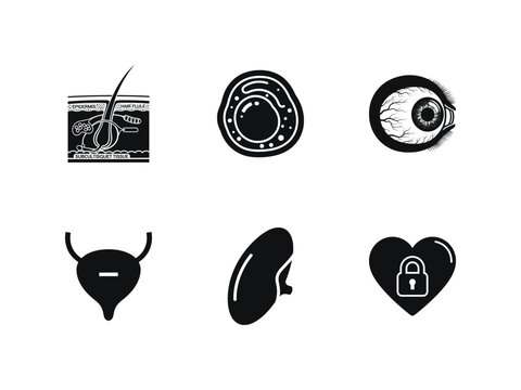 Set of human anatomy icons including skin cross section, cell, eye, bladder, kidney and heart with lock symbol