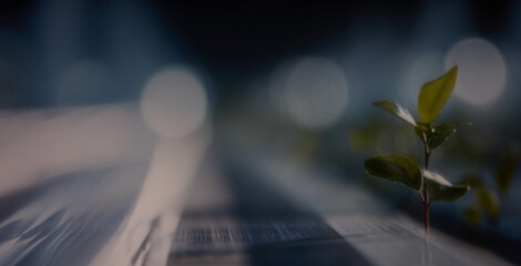 Naklejka premium Green Technology Concept with Plant Leaves and Digital Network Connections