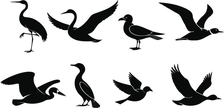 Set of Water Bird Silhouettes Including Herons Seagulls and Cormorants Vector
