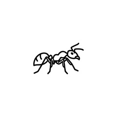 Fototapeta premium Detailed drawing of an ant.