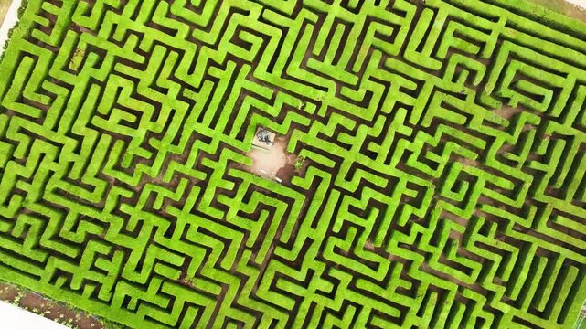 Aerial orbit shot of a square labyrinth, geometric hedge garden design