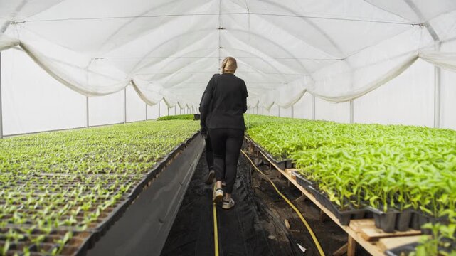 Two workers walking through a large industrial nursery filled with young organic plants. Sustainable agribusiness.