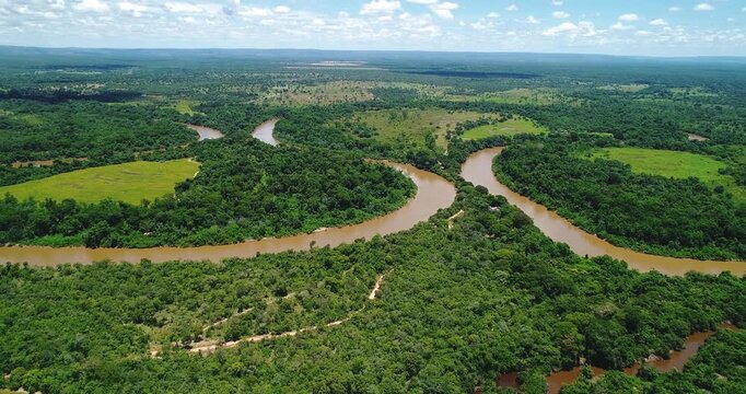 Caravelas River estuary near Caravelas Bahia Brazil with pronounced meanders through mangrove and Atlantic Forest transition including Rhizophora mangle, Avicennia schaueriana Laguncularia racemosa