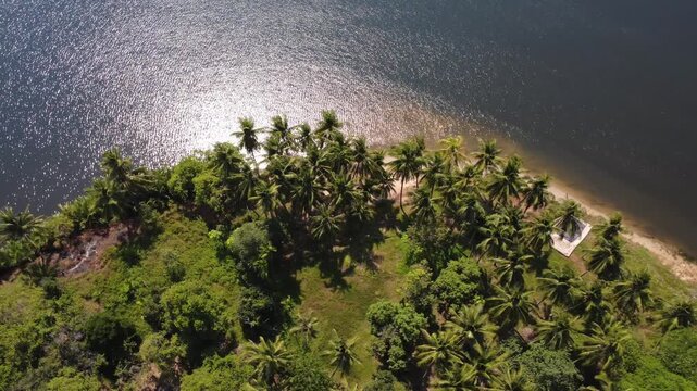 Aerial view of Kampot riverside with lush palm trees and serene water