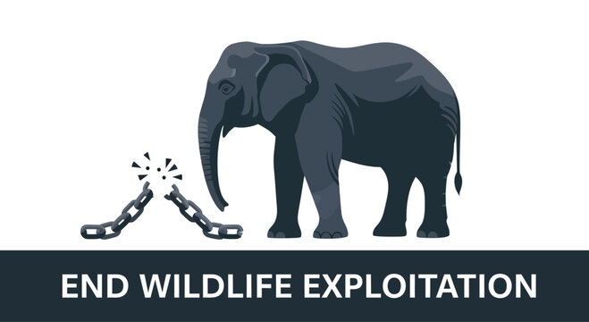 An illustration of an elephant breaking free from chains representing animal rights.