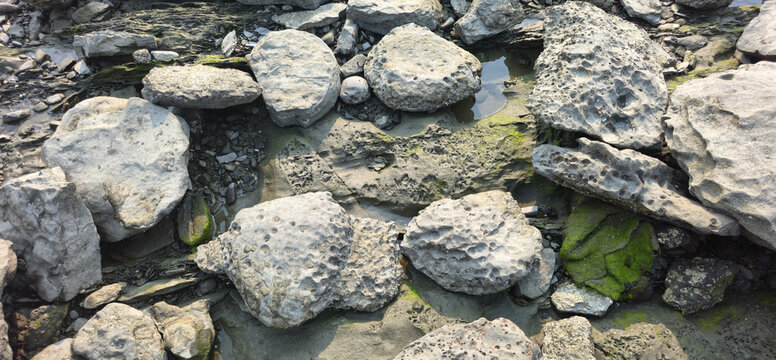 Sea fossil stone texture with ancient marine shells embedded in coastal rock, prehistoric geological formation on beach shore, natural weathered ocean reef stone background for science and nature.