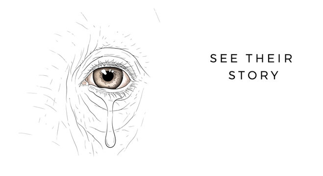 Pencil sketch of an elderly human eye with a single tear.