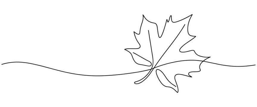 Minimalist single line drawing of a maple leaf with a flowing wavy line across the bottom