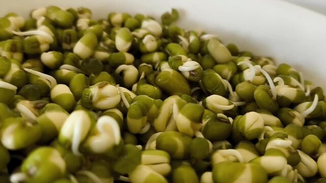 Sprouted mung bean with sprouts for salad in a plate. Proteins, protein