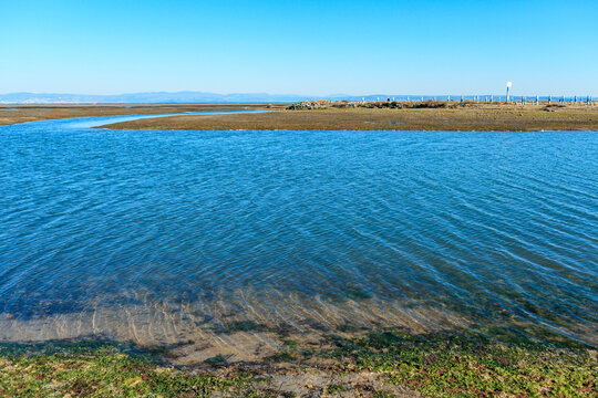 Shallow lagoon waters at Grado Pineta with Julian Alps, Italy, 2017