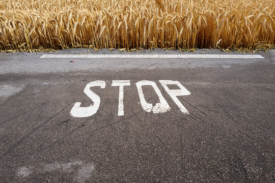 Bildbearbeitung, wei&szlig;e Stop Markierung auf grauem Asphalt, Mallorca, Spanien,