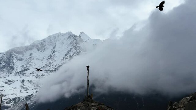 Slow motion of a raven taking off and flying over snowy Himalayan mountains. Dramatic clouds and high peaks create a mystical, cinematic atmosphere in remote alpine wilderness