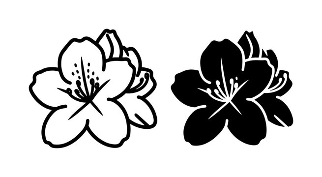 Azalea Flower Silhouette and Outline Vector Illustration