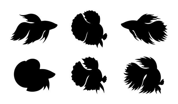Betta fish silhouette collection, set of 6 black Siamese fighting fish vector icons, elegant aquarium fish shapes for logo design and branding