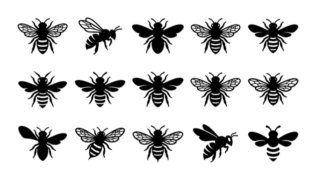Honey bee silhouette vector icons, set of 15 black bumblebee insect illustrations, minimalist honeybee graphic elements for nature branding