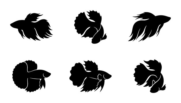 Betta fish silhouette collection, set of 6 black Siamese fighting fish vector icons, elegant aquatic animal shapes for logo design and branding