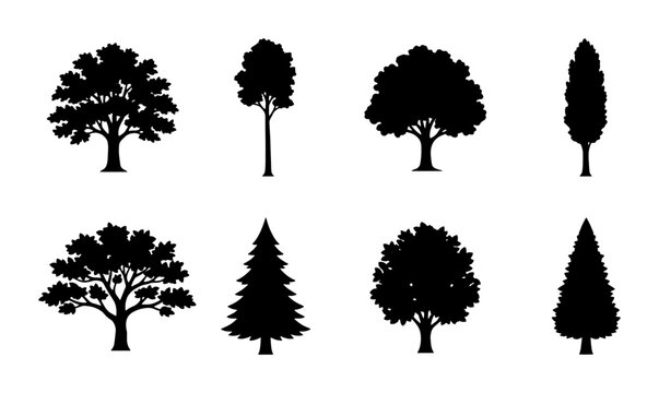 Black tree silhouettes set, 8 deciduous and coniferous tree icons, forest plant vector collection for landscape design and architectural mapping