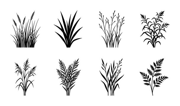 Black grass silhouette vector set, botanical wild meadow plants collection, 8 minimalist reed and fern leaf icons, natural field flora elements