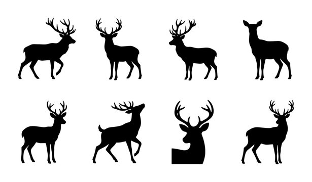 Black deer silhouette collection, 8 wild stag and buck vector icons, forest animal silhouettes with antlers, hunting and nature design elements