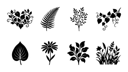 Black botanical silhouettes set, 8 floral vector icons including fern and daisy, minimalist plant leaf illustrations for logo design and wedding decor © Belal