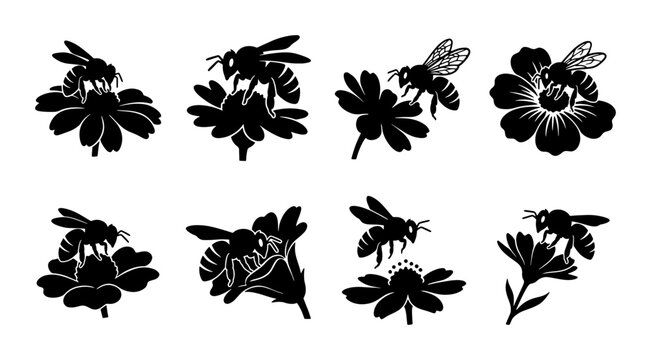 Honey bee silhouette set with 8 vector icons, bumblebee on flower garden illustrations, black insect and floral nature silhouettes for logo design