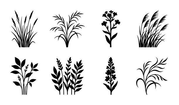 Black grass silhouettes set, botanical wild plant vector icons, 8 organic meadow herb and reed elements, minimalist floral nature illustrations