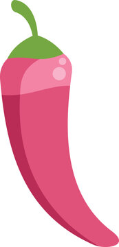 Pink chili pepper flat illustration on white background for food or cooking concepts