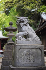 Fototapeta premium 狛犬自然色①