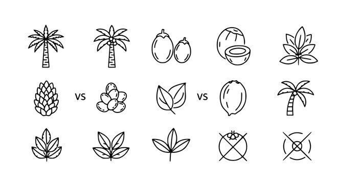 Tropical palm and coconut cultivation vector icons featuring palm trees, coconut fruit clusters, leaves, and comparison symbols in a clean black and white line art style.