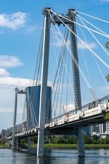 Naklejka premium Modern Suspension Bridge Over River With Urban Skyline and Steel Cable Towers