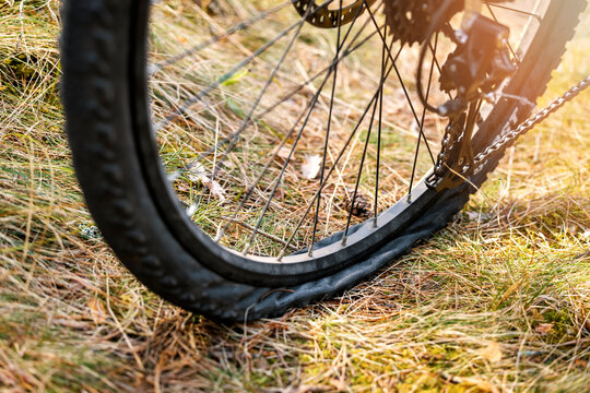 closeup of flat mountain bike tire on forest path