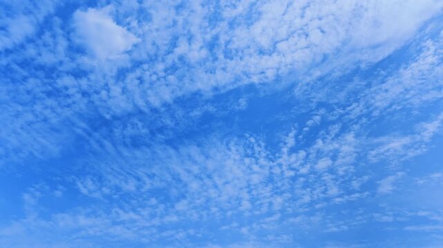 一面に広がるうろこ雲と澄んだ青空のタイムラプス 汎用背景素材