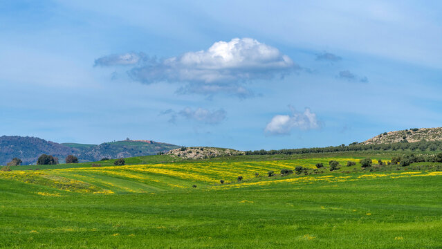 Paysage printanier du nord-ouest de la Tunisie
