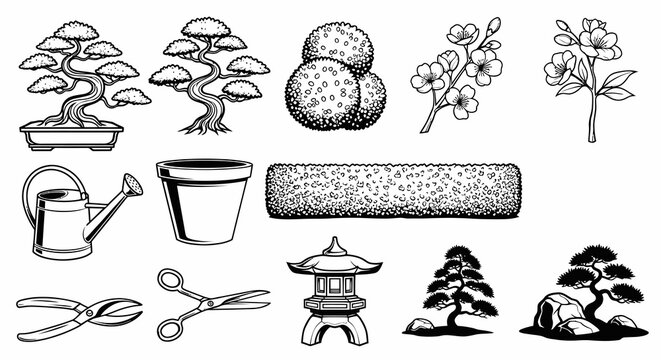 Bonsai Trees and Zen Japanese Garden Elements Vector Art