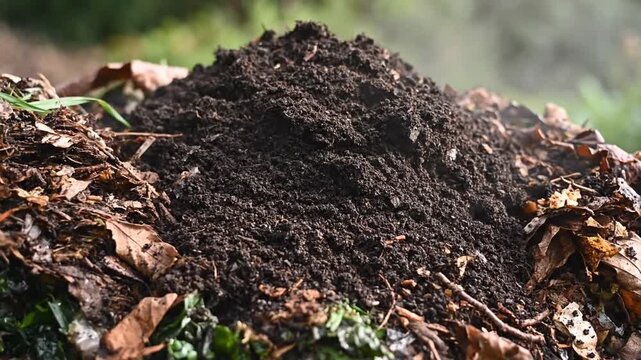 Composting Materials Transform Into Nutrient Rich Earth