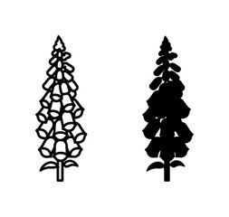 Digitalis Flower Vector Icons, Foxglove Silhouette and Outline, Woodland Plant Graphics for Nature Designs © Tayeb